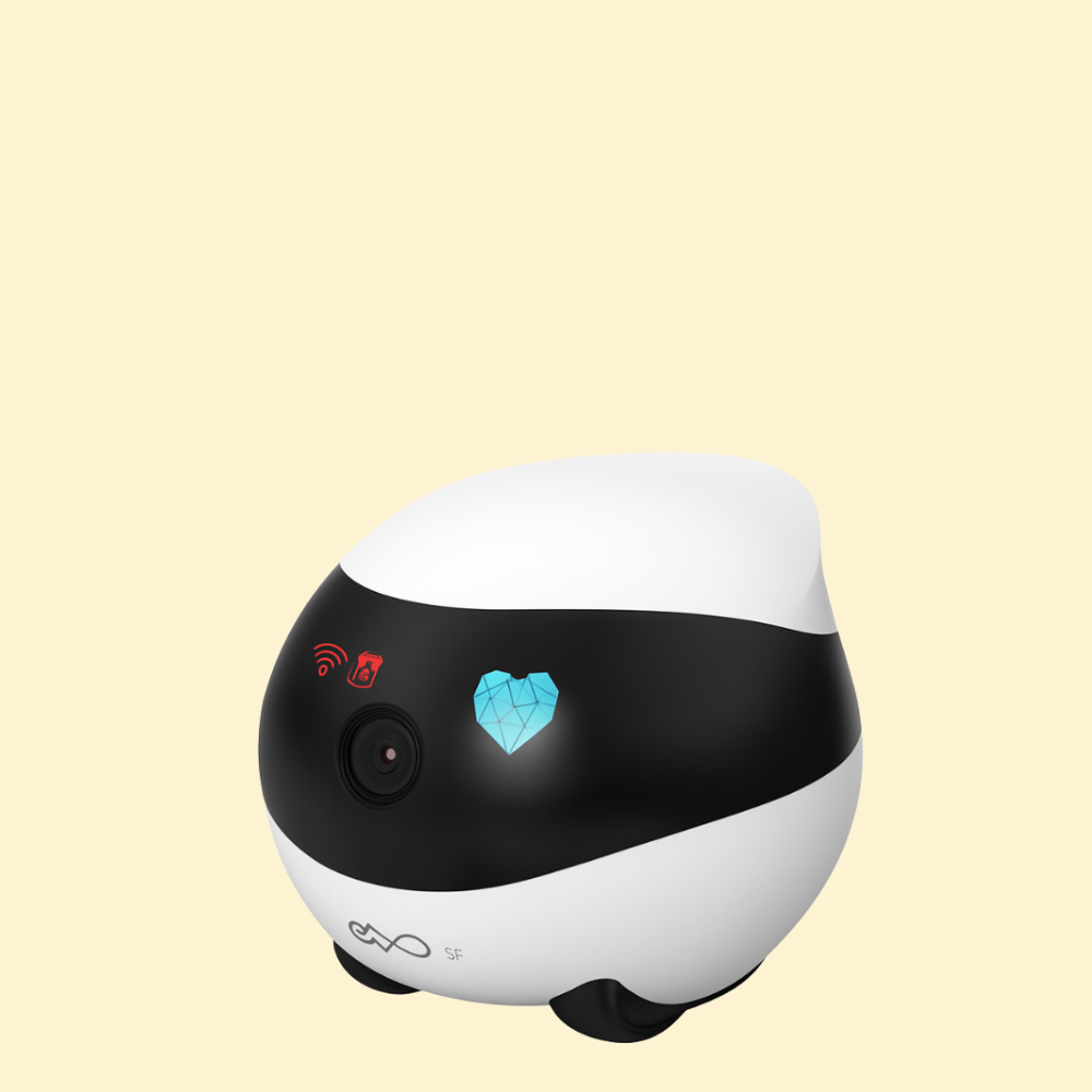 ENABOT - EBO SE - CAMERA CONNECTÉE MOBILE