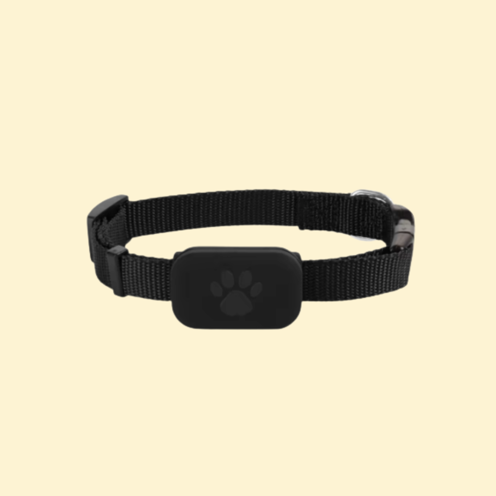 iPets 3 - COLLIER GPS
