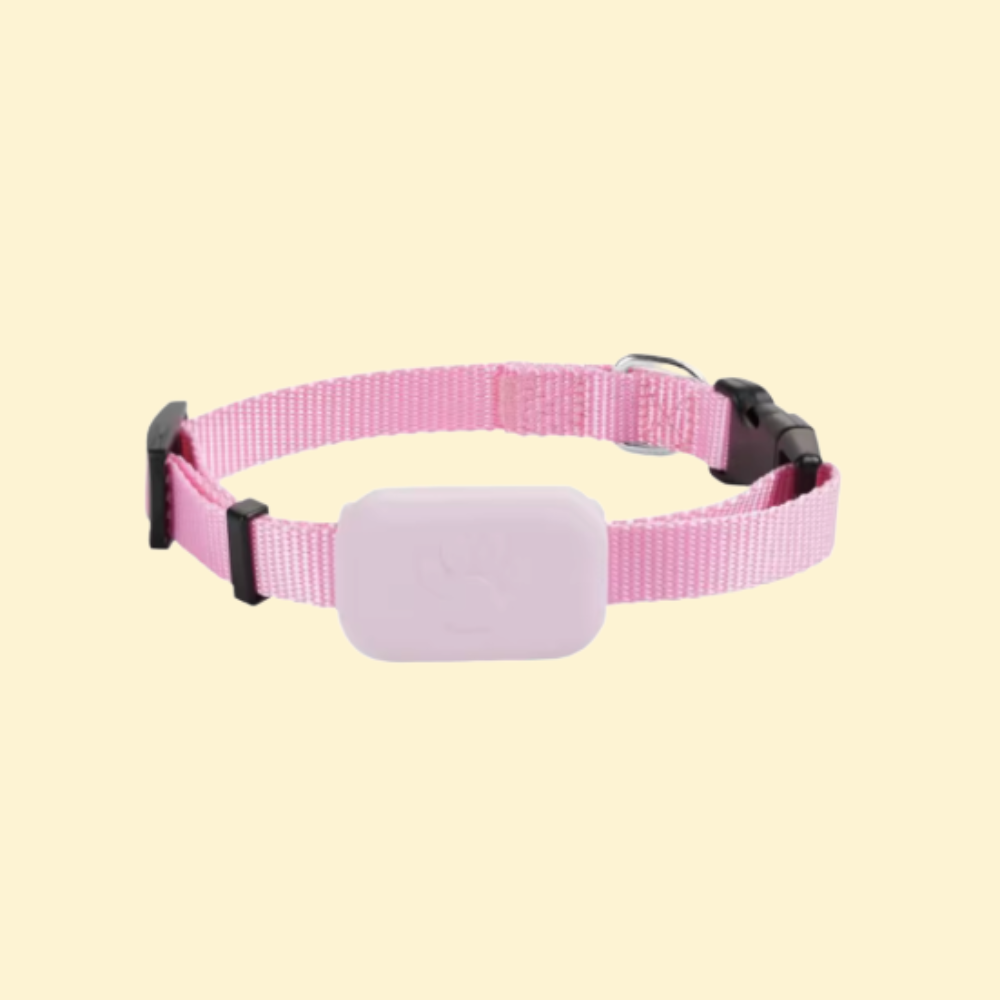 iPets 3 - COLLIER GPS