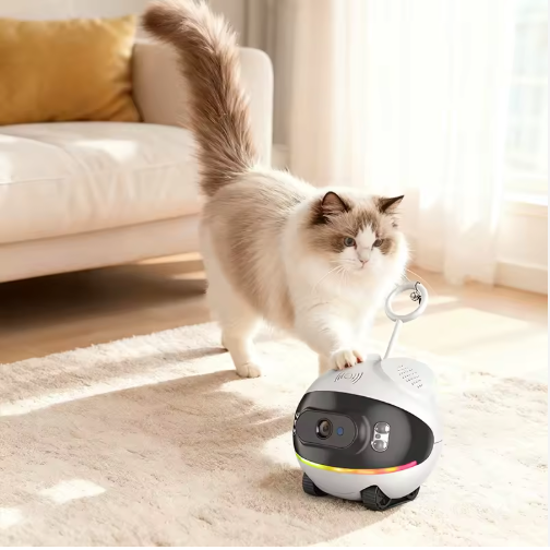 PetCamera - AIR 2 CAMERA - CONNECTÉE MOBILE