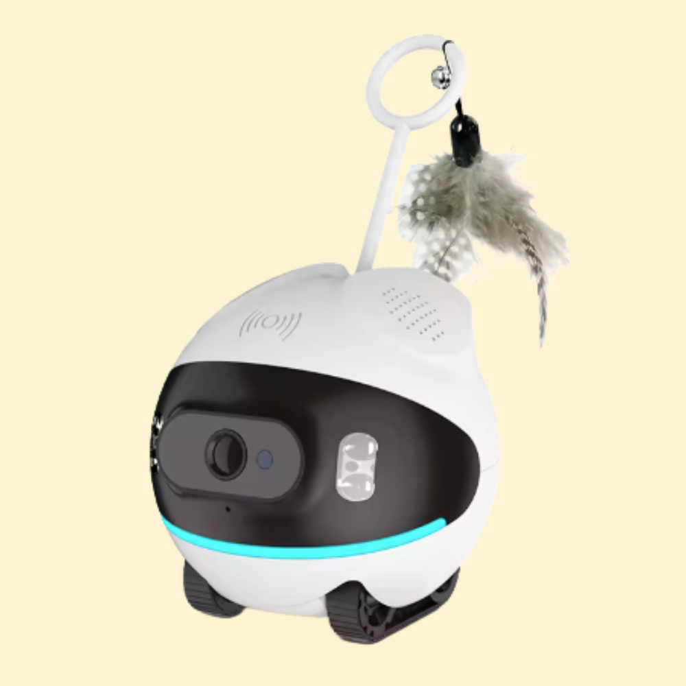 PetCamera - AIR 2 CAMERA - CONNECTÉE MOBILE