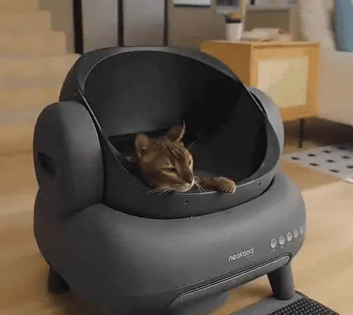 Litière Automatique Connectée - Neakasa M1 - Spécial Grands Chats