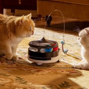 ENABOT - ROLA PetPal - CAMERA CONNECTÉE MOBILE